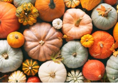 Teaching fall holidays: Indigenous representation in North America